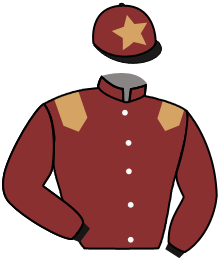 P. Bonnefoy