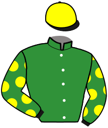 Ecurie Sébastien Houyvet