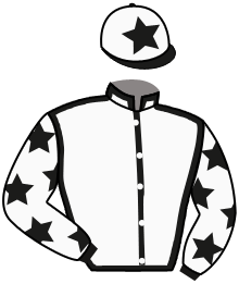 Nick Bradley Racing 4 & Partner