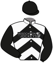 Infinity 9 Horses/Daytona Stable